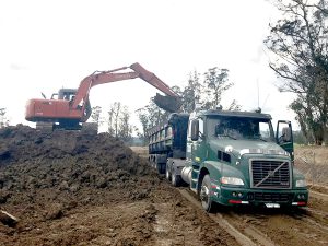 Tracto Camiones DAPO sas