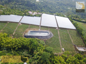 Proyecto Elite Flowers Farmers DAPO sas