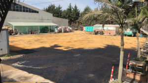 Proyecto Elite Flowers Farmers DAPO sas