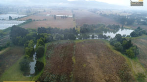 Proyecto Elite Flowers Farmers DAPO sas