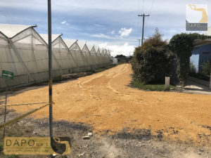 Proyecto Elite Flowers Farmers DAPO sas