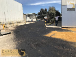 Proyecto Elite Flowers Farmers DAPO sas