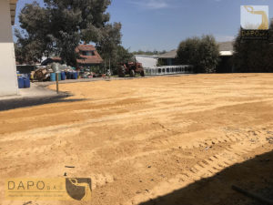 Proyecto Elite Flowers Farmers DAPO sas