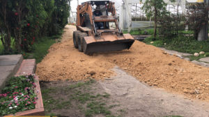 Proyecto Elite Flowers Farmers DAPO sas