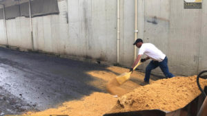 Proyecto Elite Flowers Farmers DAPO sas