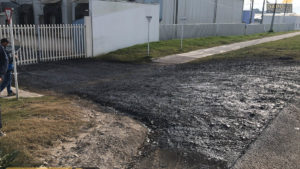 Proyecto Elite Flowers Farmers DAPO sas