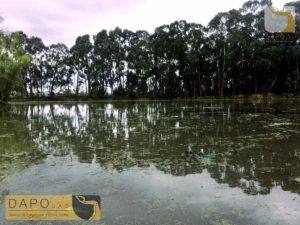 Mantenimiento-de-reservorios-y-lagunas